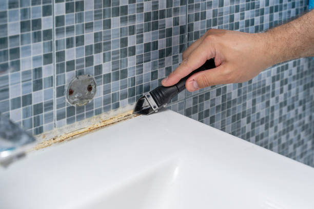 Best Preventive Mold Services in Coconut Creek, FL