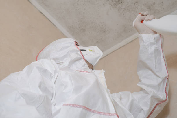 Best Mold Testing and Inspection Services in Coconut Creek, FL